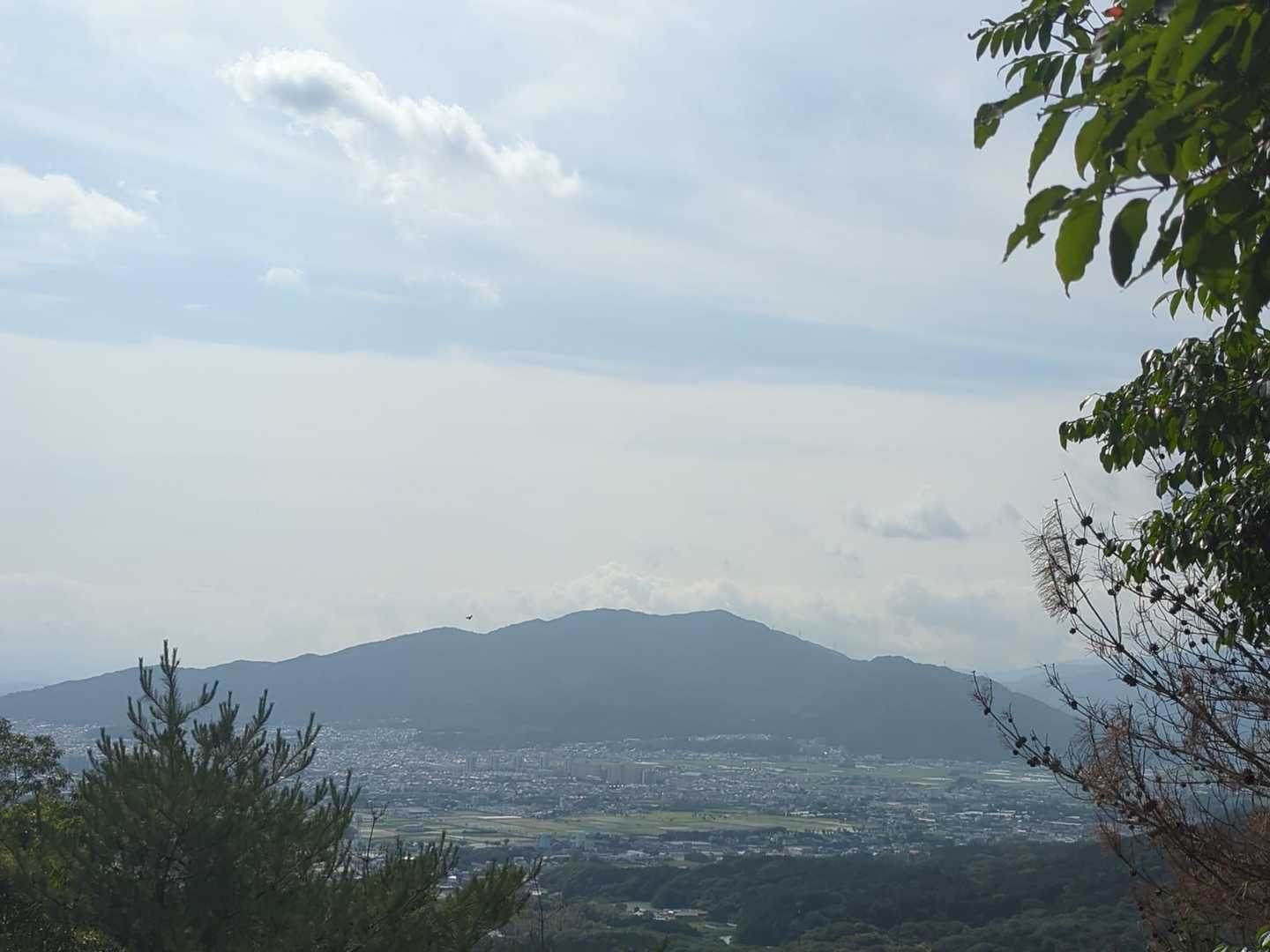 これは。。。油山？合ってるかな？
