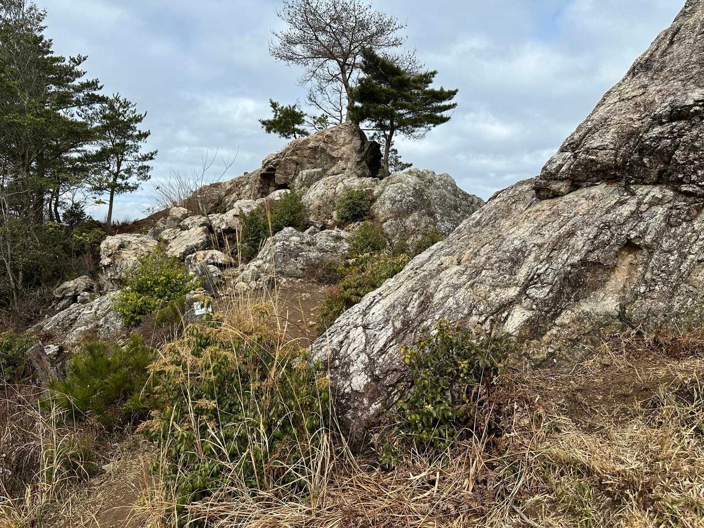 隣の2つの大岩🪨にも上ってみます😙