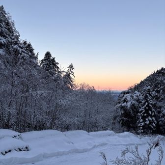 今日もお天気良き🩵