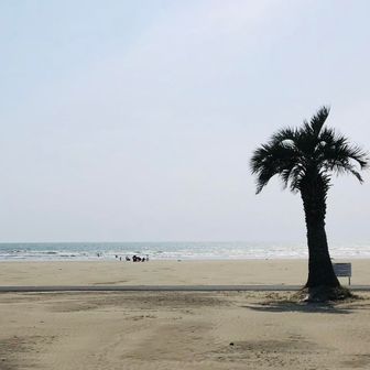 社員マスカット