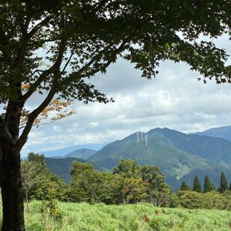 展望所、ここで休憩🎶
諸塚山近くの風車が見えます❗️
