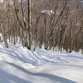 先週直で下りた所