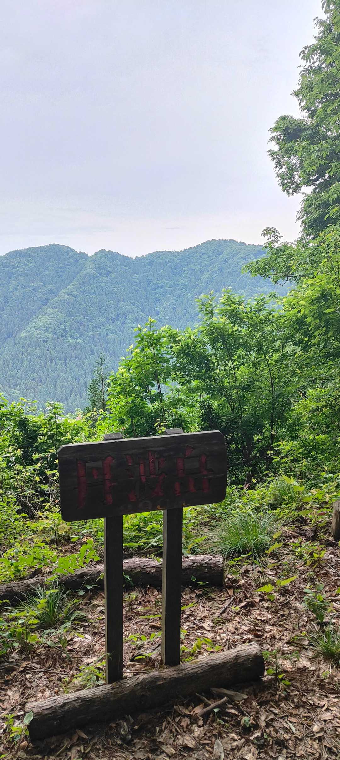 サクッと丹波到着。
文殊山どれやろ？