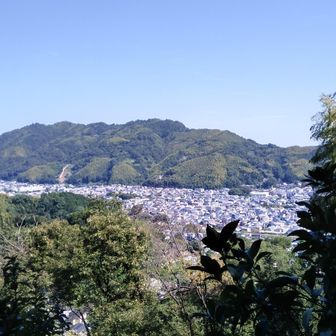 🏞️裏山の梶原山が
何時もは,あちらから👀
🏞️川合山を