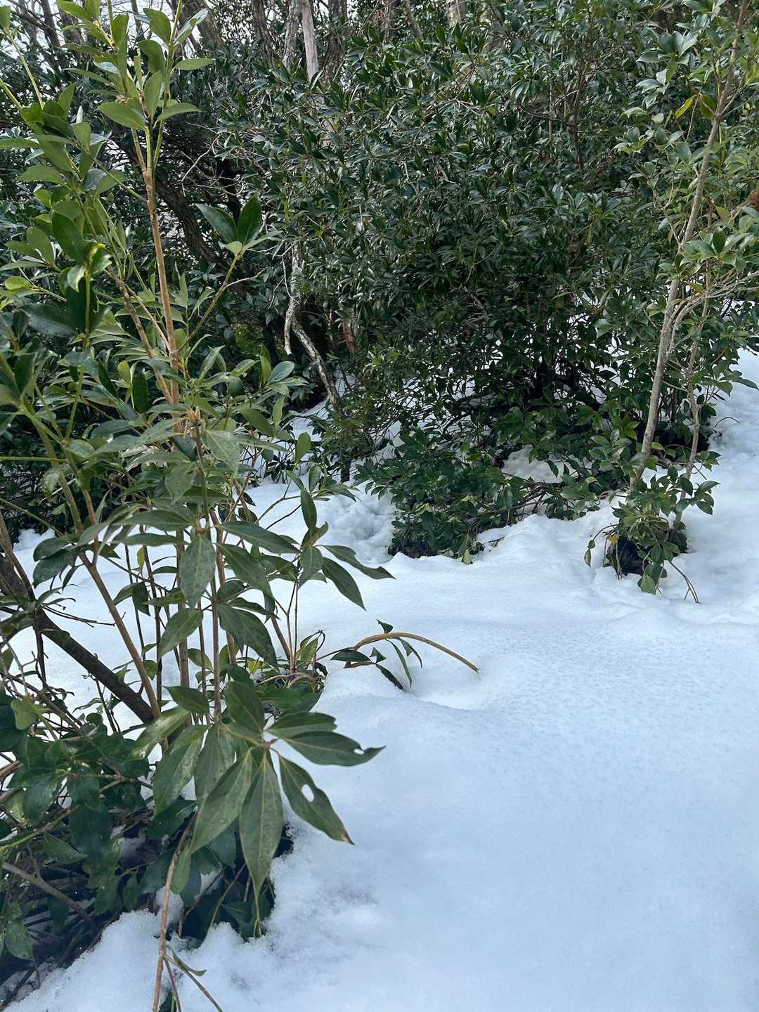 雪はさらさらパウダースノーなところもありました。