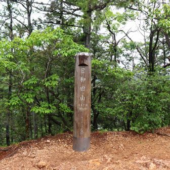 日和田山山頂。
