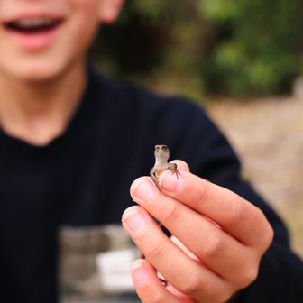 カナヘビを見つけて大喜び😀