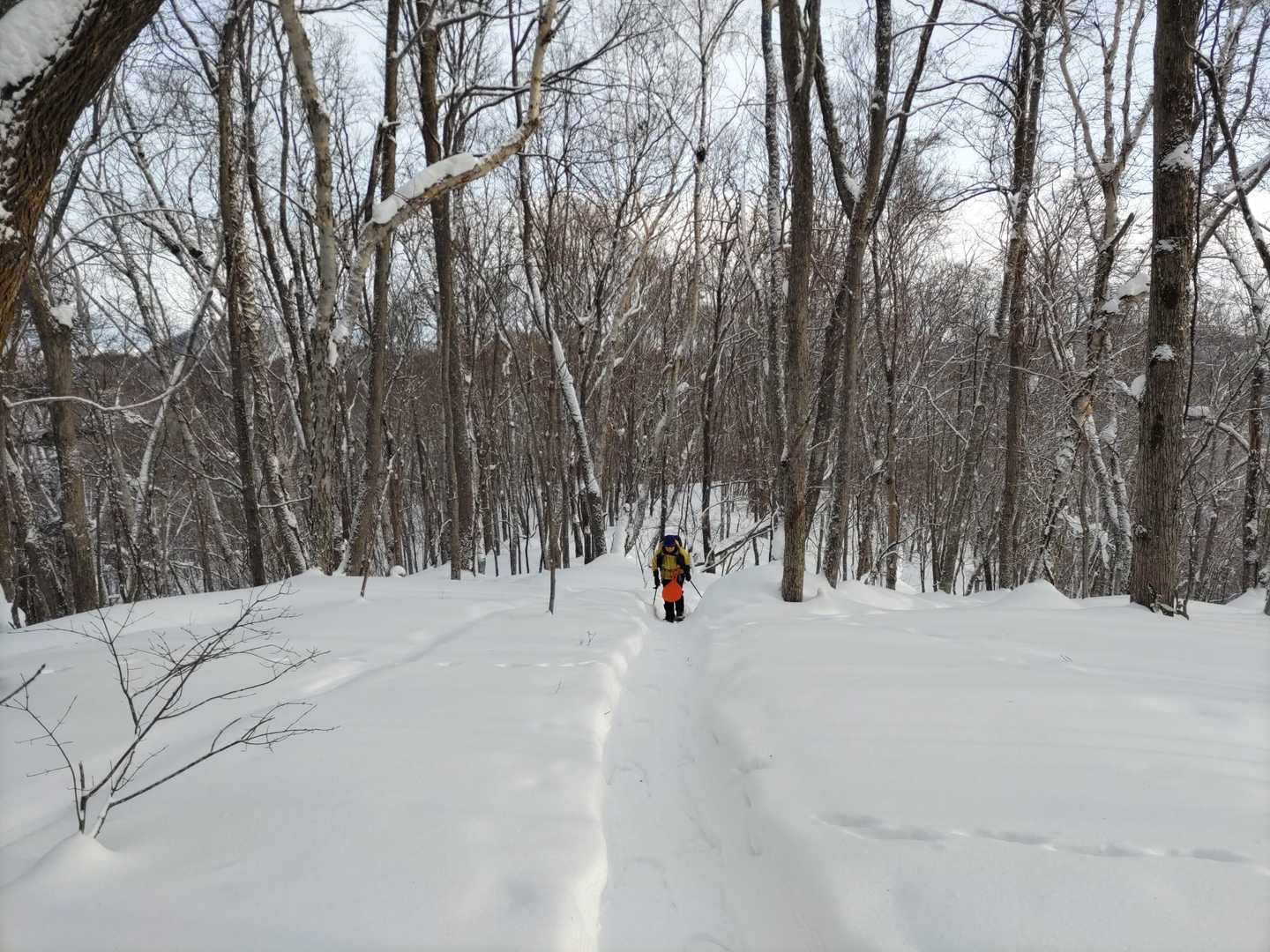 盤渓山 往復コースの写真