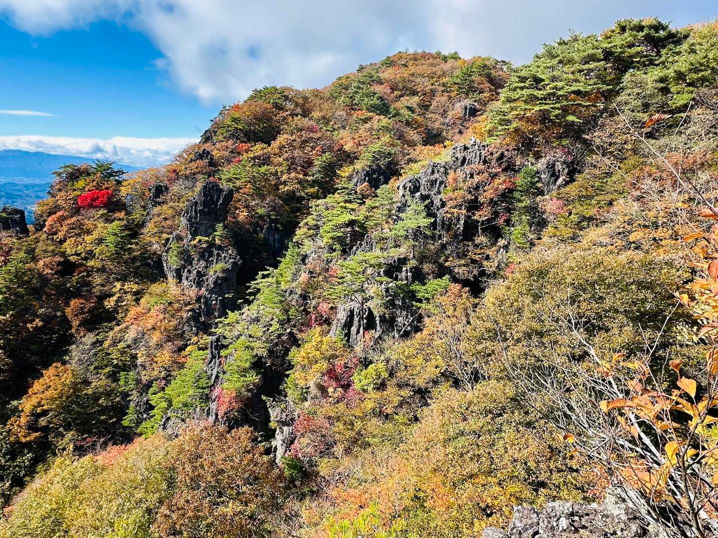 こちらも良い景色❗️