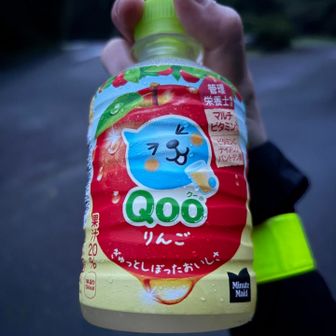 学生振りのQoo(マルチビタミン)と麦茶(カテキン)
トレランみたいな補給になってしまった

国道135号線が充実してて油断した
111号線はコンビニ皆無

ラストコンビニは大室山方面分岐のセブンとファミマ、自販機は登山口までの道中(別荘地)にちらほら
多分アプリ登録必要なタイプ

ザックに入れ替え、ここで登山スタイル