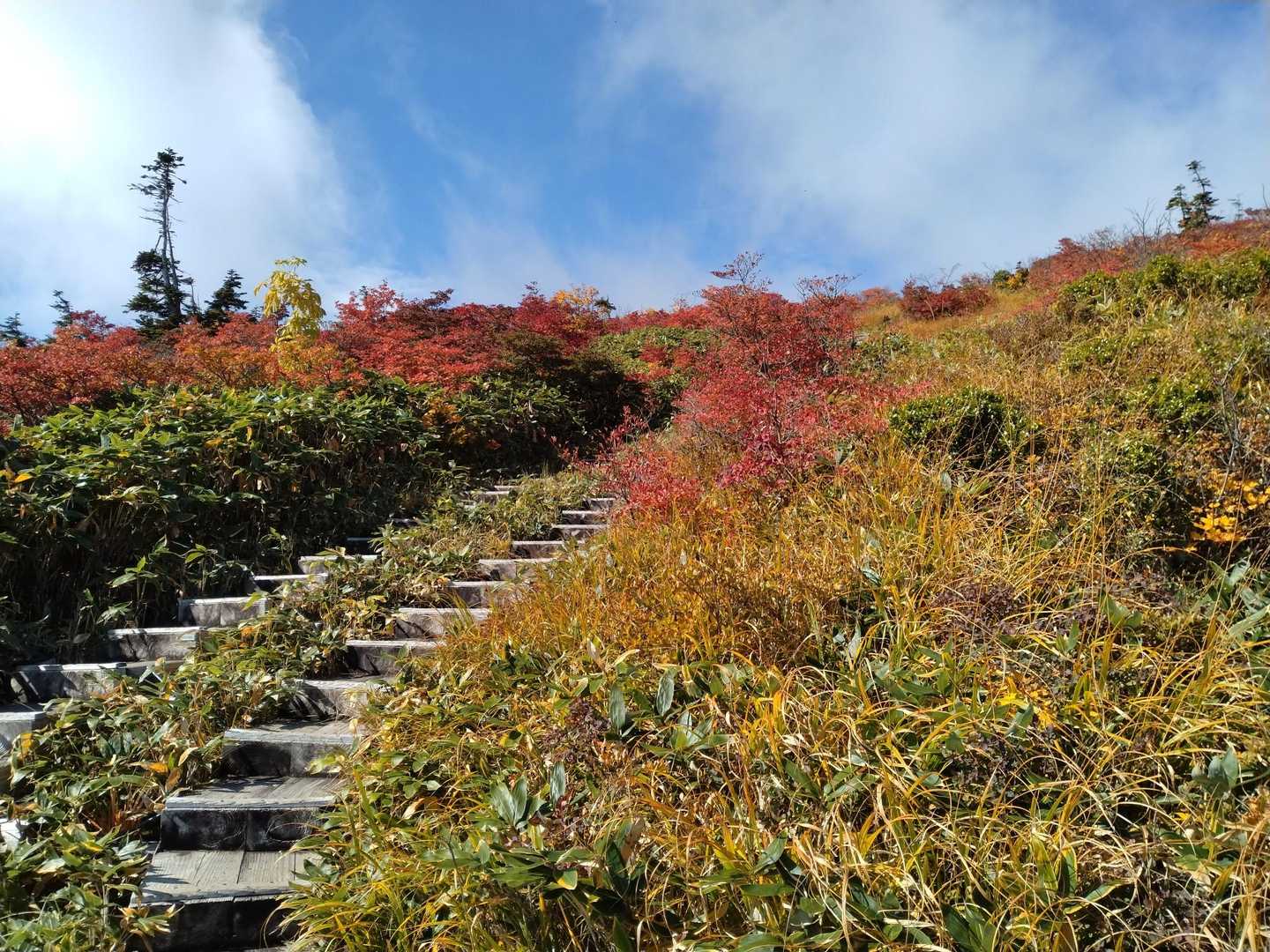祓川コースの写真