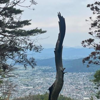 山頂の手前から。