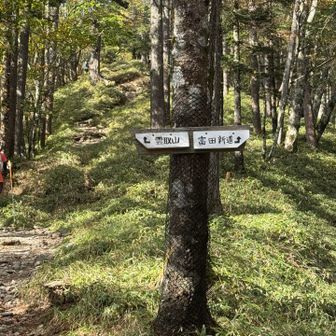 雲取山へ行きます。富田新道は巻道。下山時に使おう。