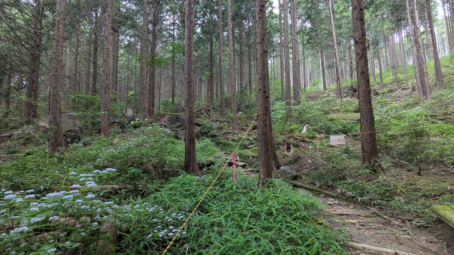 笠置山 往復コースの写真