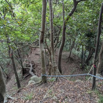 東側の花房登山口からはまた今度