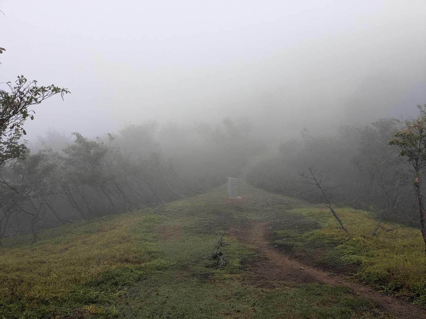 蘇武岳・大杉山 万場登山口-大杉山-蘇武岳-蘇武岳登山口 周回コースの写真