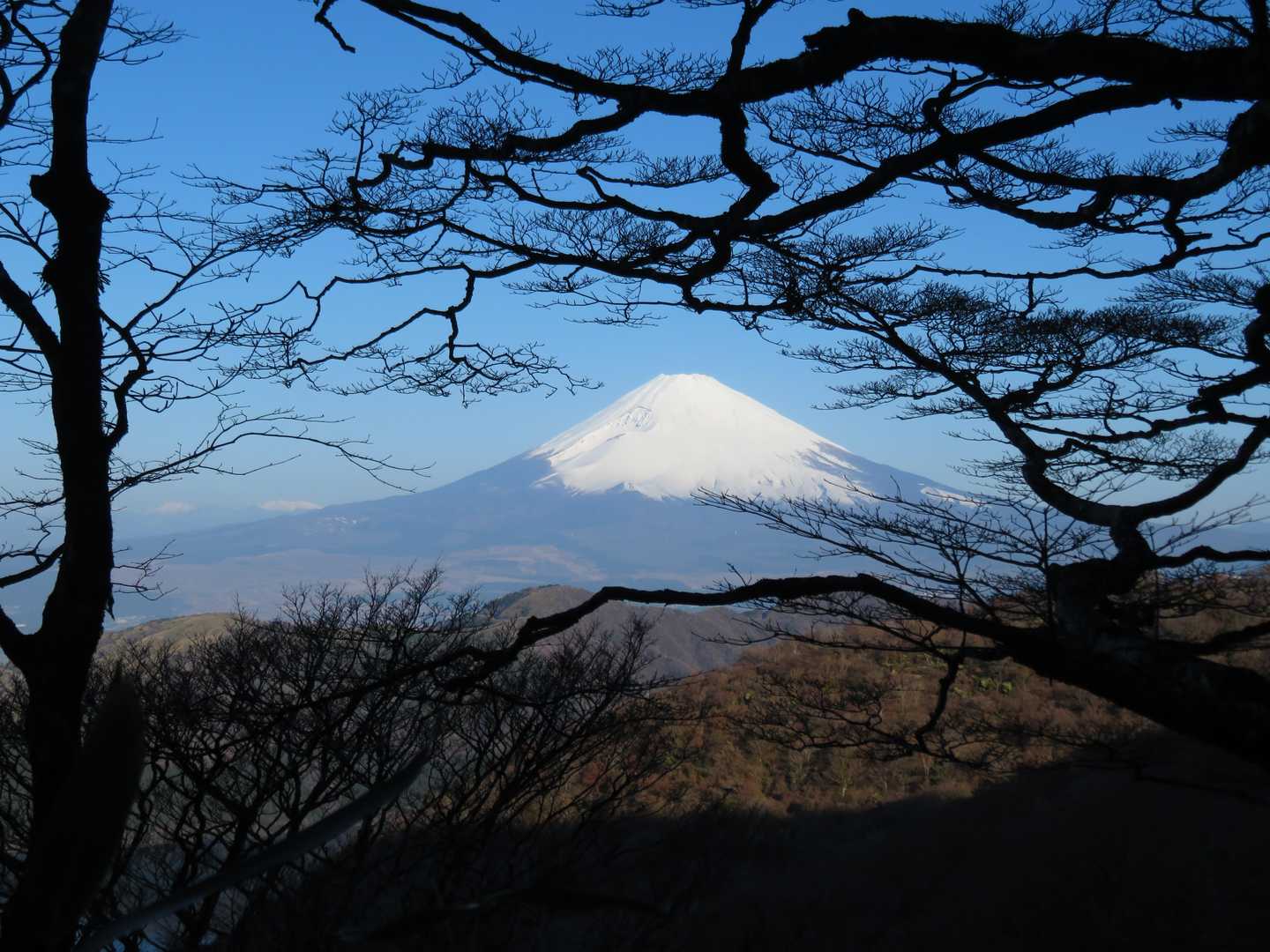 神山-駒ヶ岳頂上駅-駒ヶ岳 往復コースの写真