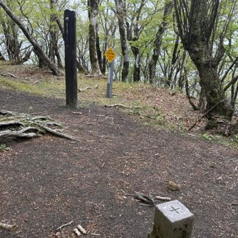 そして小さなアップダウンを経て本日の目的地である大洞山到着。展望も無くここら辺の山頂全部一緒。
