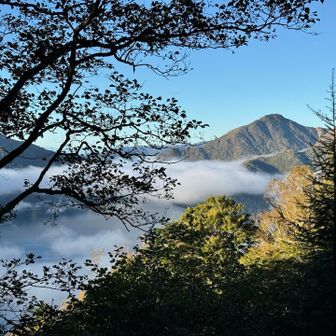 中禅寺湖にかかる🌫️