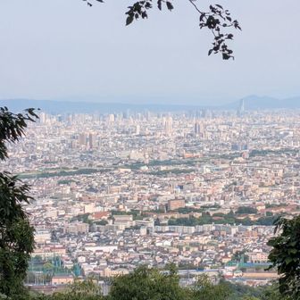 大阪のミナミが見えます。先程も写真展見に行っておりました。