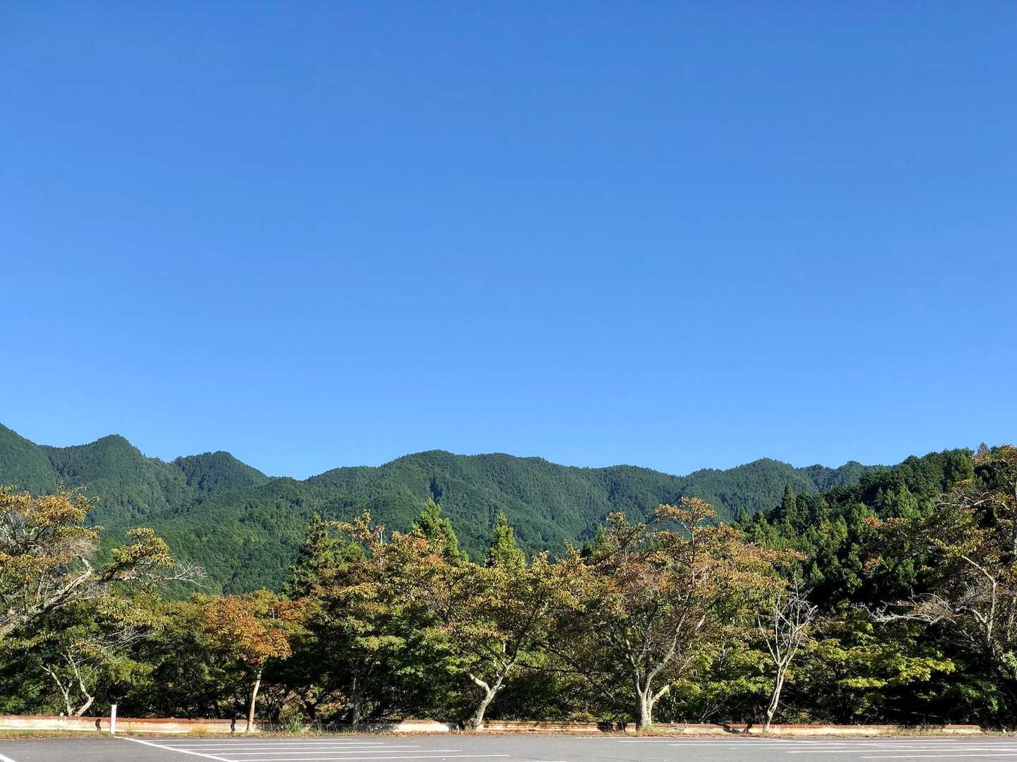 談山神社⛩️ 🅿️からの景色

真っ青🟦な空
気持ちいい〜
紅葉🍁を見つけに行こう‼️