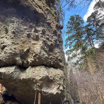 なるほど、枝あっての岩やね。笑
ん？岩あっての枝か？😶