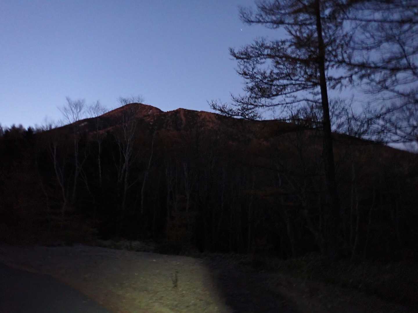 眠いよ眠いよニャン体山😸