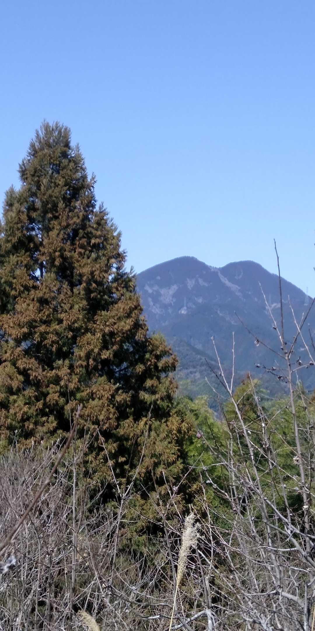 竜爪山🏞️文珠岳🏞️薬師岳
