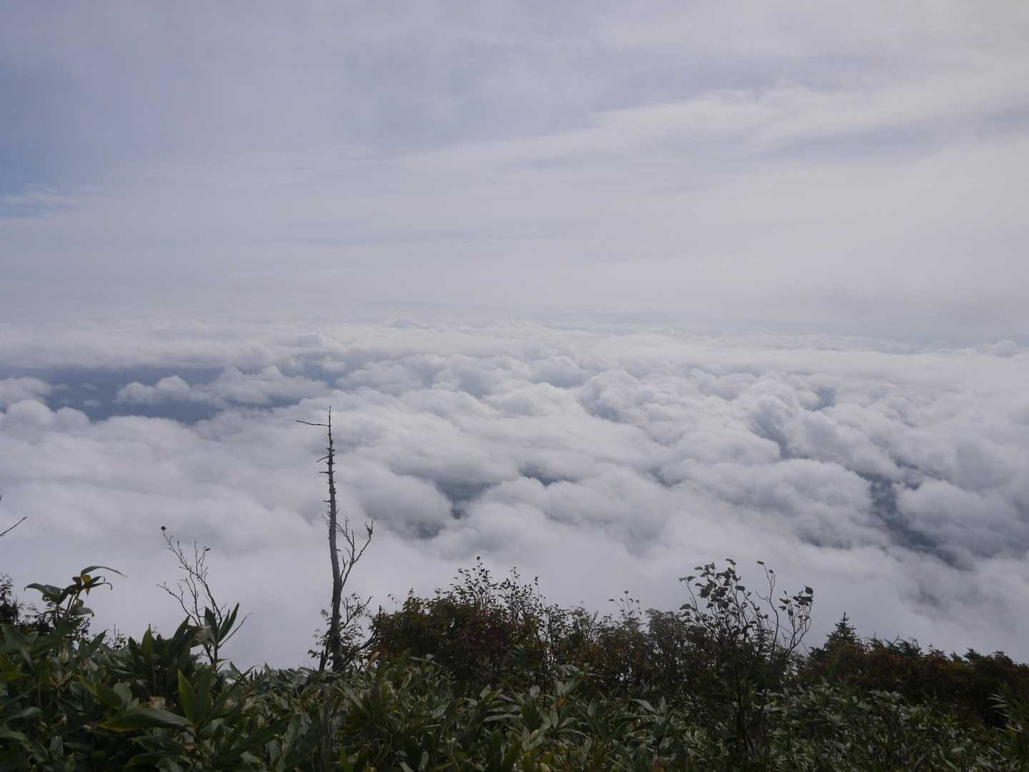 頂上は晴れて、雲海が綺麗