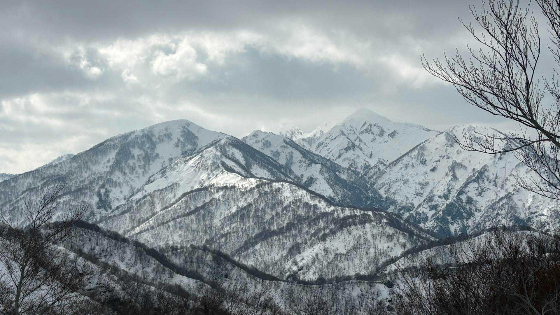 粟ヶ岳 山頂は雲の中