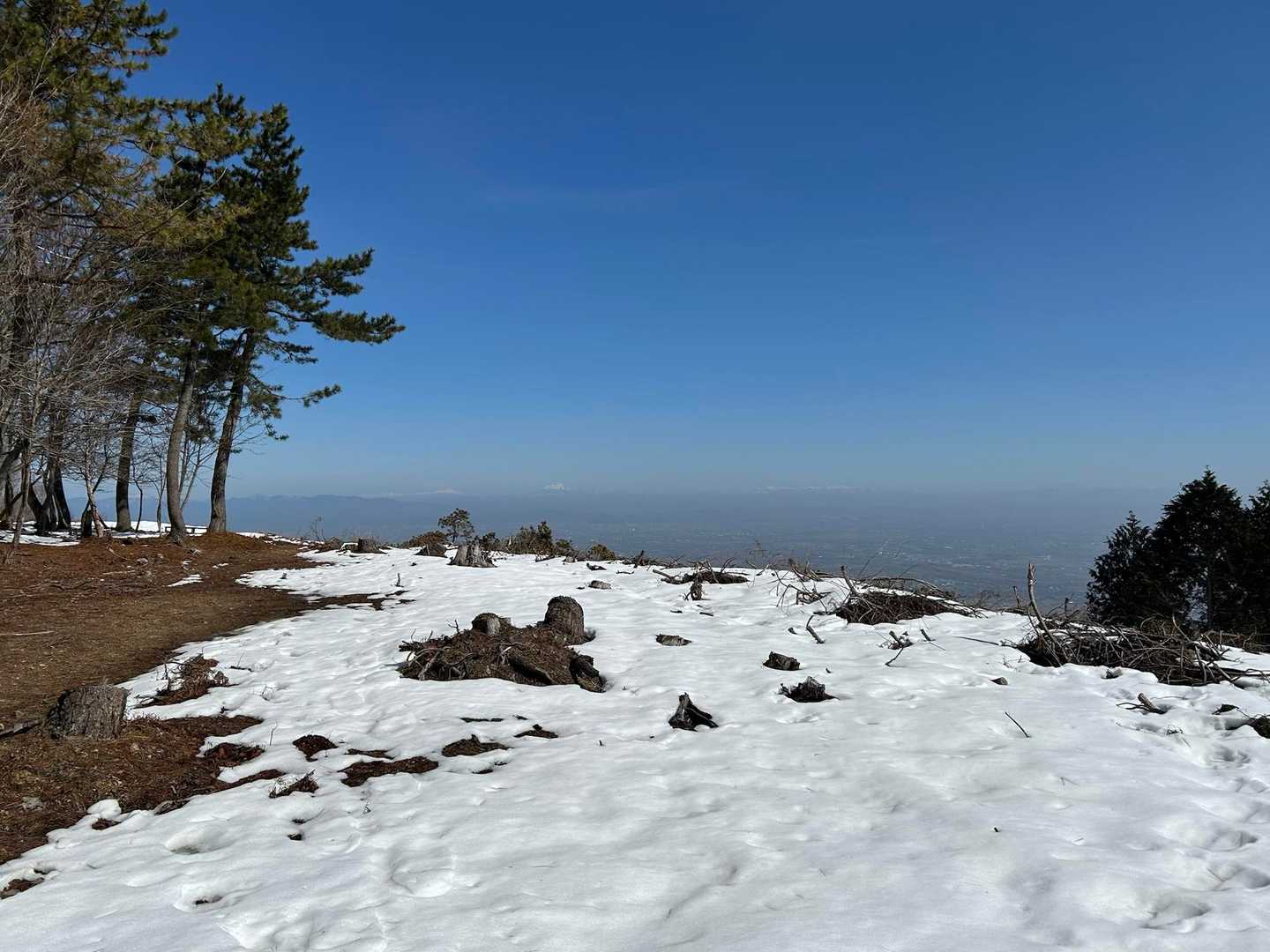 三方山-小倉山-養老山-北尾根P826峰 周回コースの写真