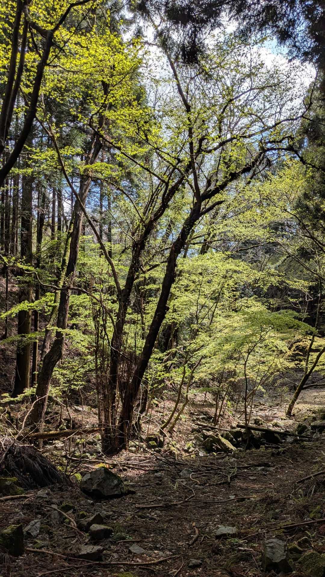 ほらぁ〜 輝きを取り戻してるよ🤣
登山アルアルね😆