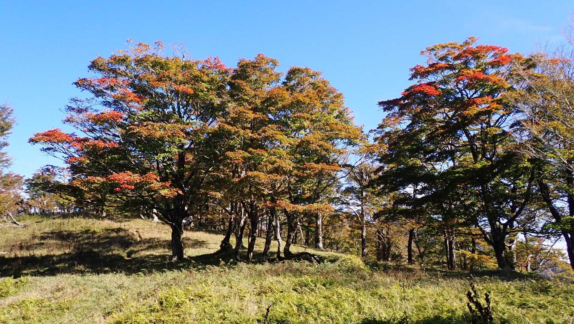 太陽に照らされキラキラ✨