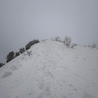 松ノ木沢の頭に到着