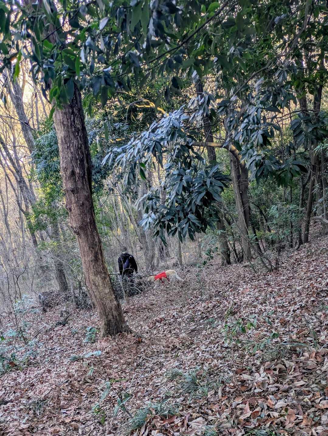 三毳山-中岳 周回コースの写真