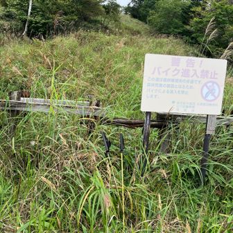 戻ってきました。ここから林道歩き１時間。