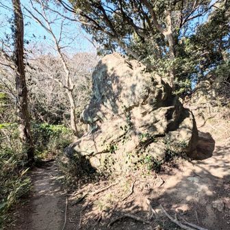 やぐらの第一段目の端っこから天園ハイキングコースに戻れます。

大きな岩の後ろだ。
そういえばこの岩、何かに似てると思いませんか？　うんこ…じゃなくてそれ以外で。

ちょっとスマホを左に傾けてみて下さい。

ほら、アディダスのマークだよ🤗