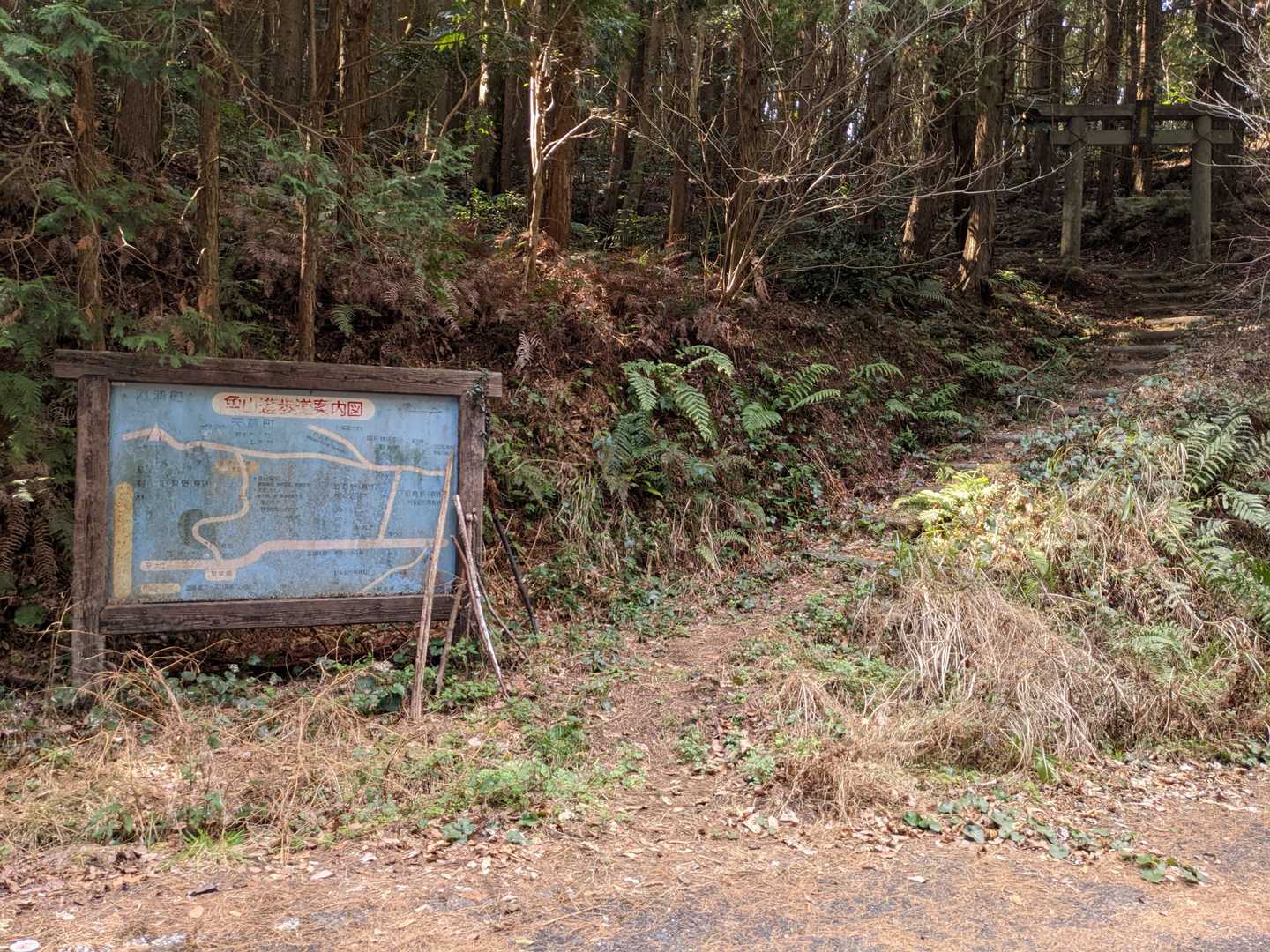 登山口です。