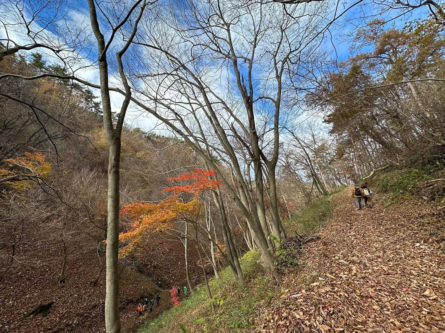 サクサクと進みますよ
