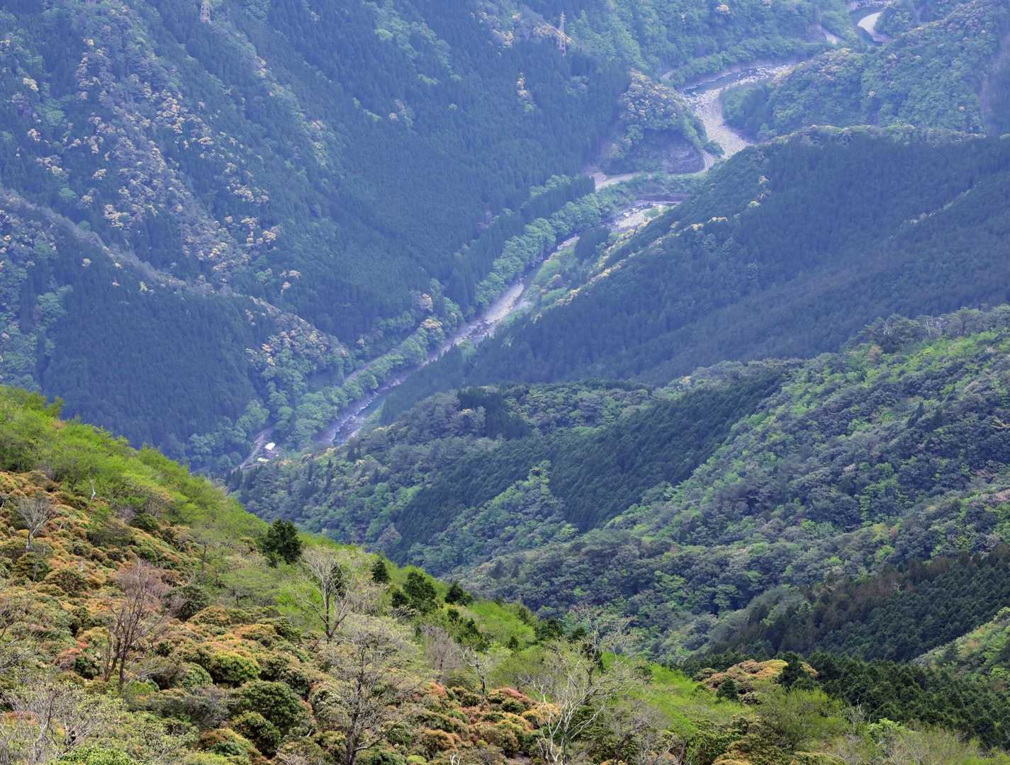 あの川沿いを走ってきたのかも😊