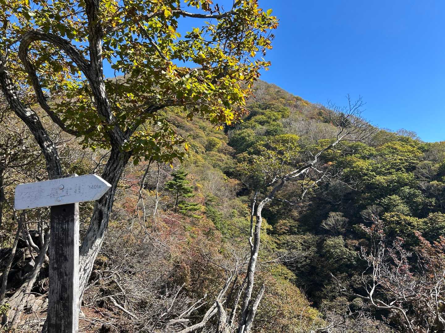 案内板より先に🗻見ちゃった🫣