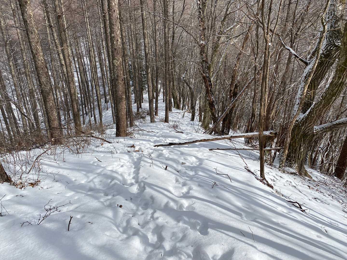 雪が増えてきたのでチェーンスパイク