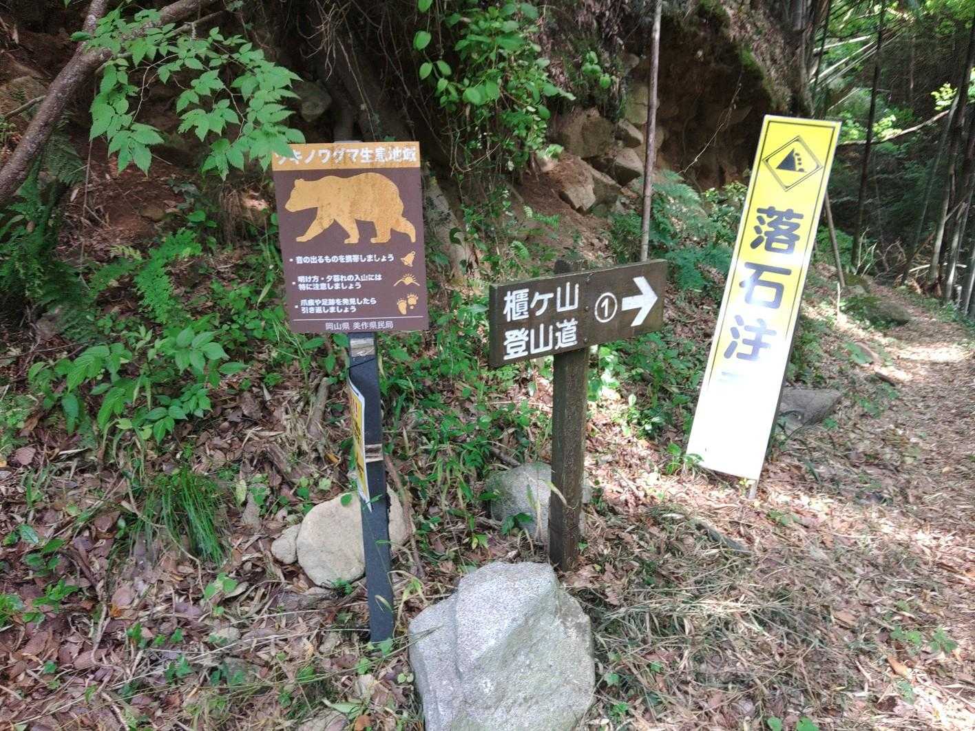 ここからスタートします🚶