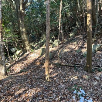 ここが取り付きでした。