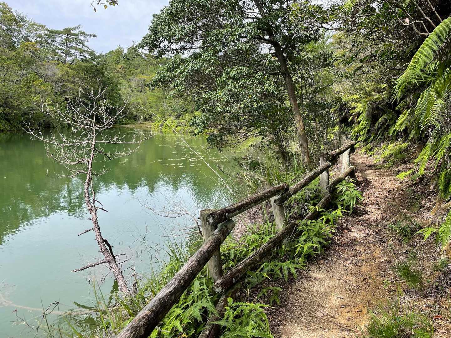 池のほとりをゆっくり歩く
良い時間です⏰