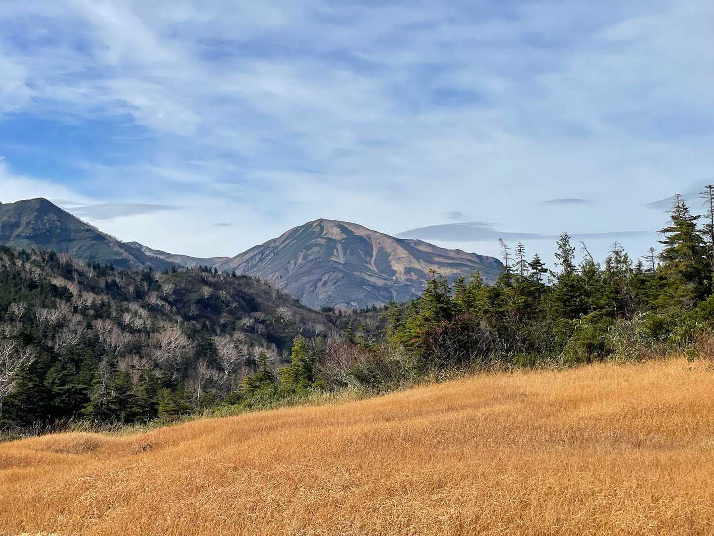 北野口登山口-風吹岳 往復コースの写真