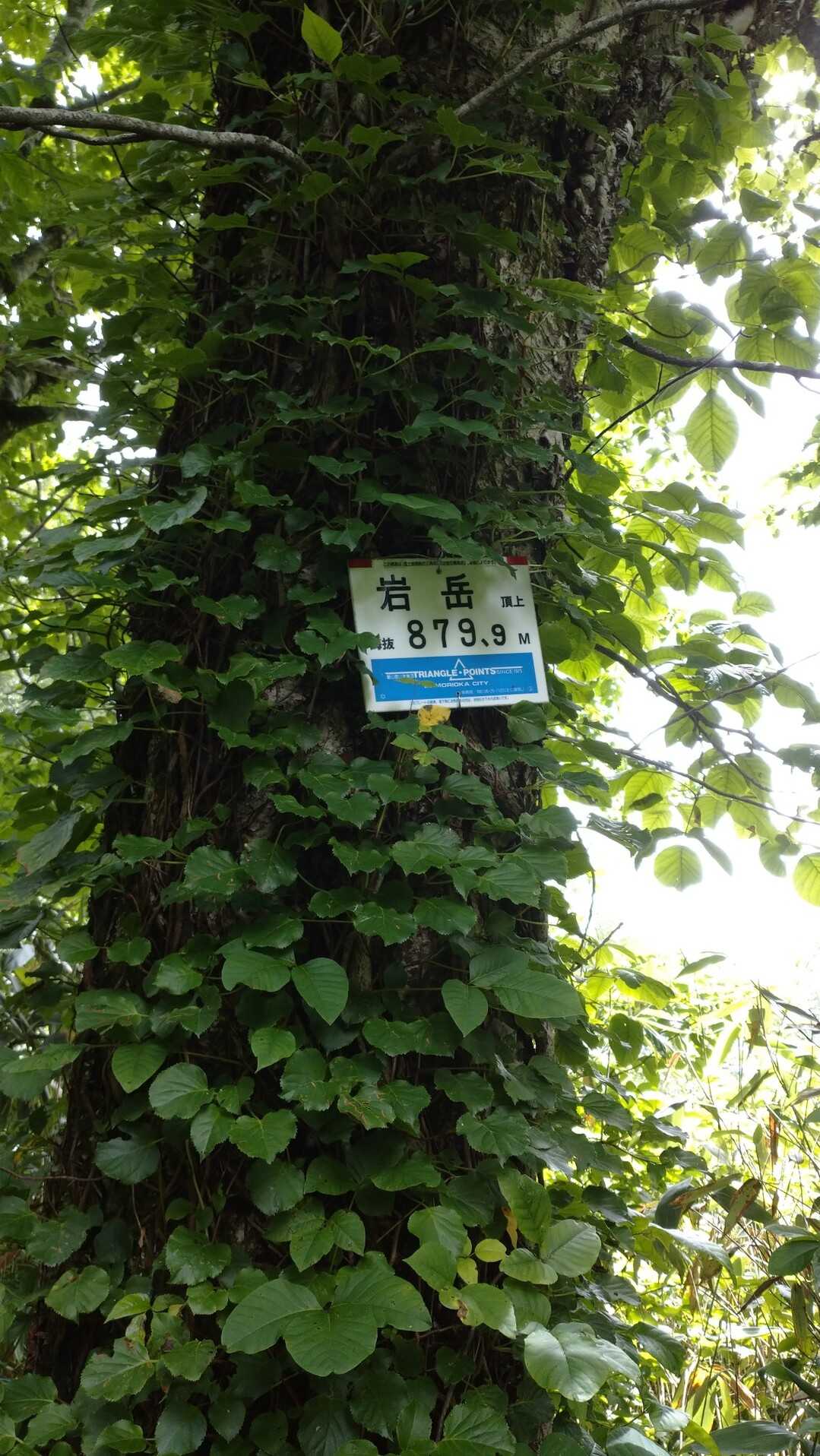 岩岳（秋田県）の写真