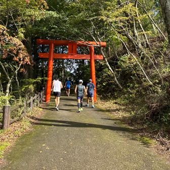 鳥居を過ぎ志高湖の縁