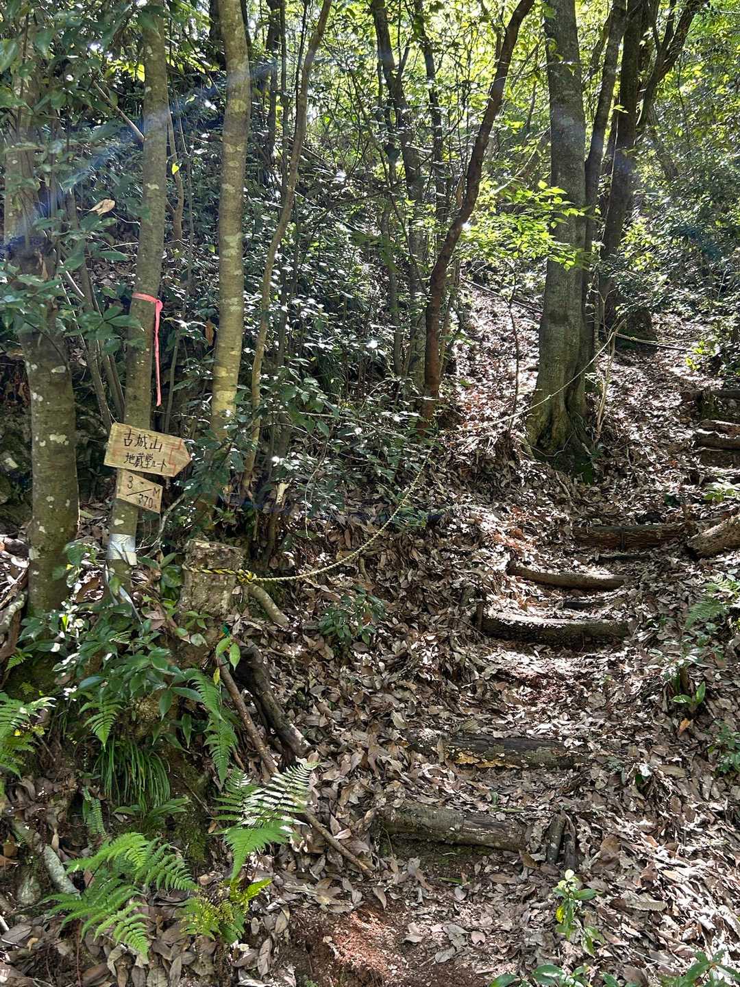 清水寺-梨割山-加治田城址 往復コースの写真