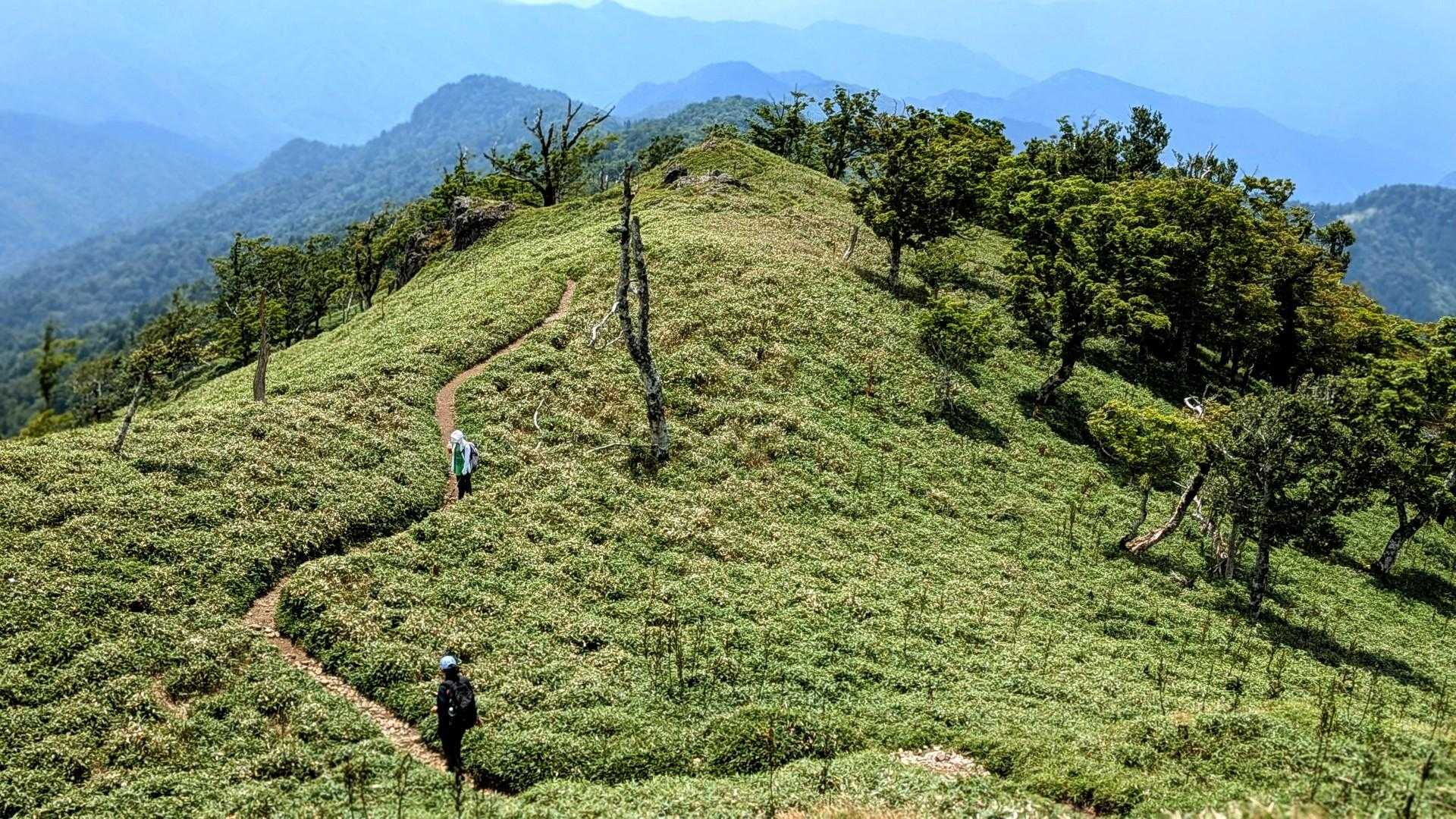 太尾登山口-古田ノ森-千丈平-釈迦ヶ岳 往復コースの写真
